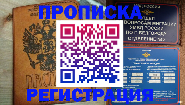 прописка для работы в Елизово